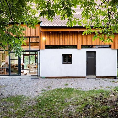 ASTER panzió Cimpu Cetatii Exterior foto