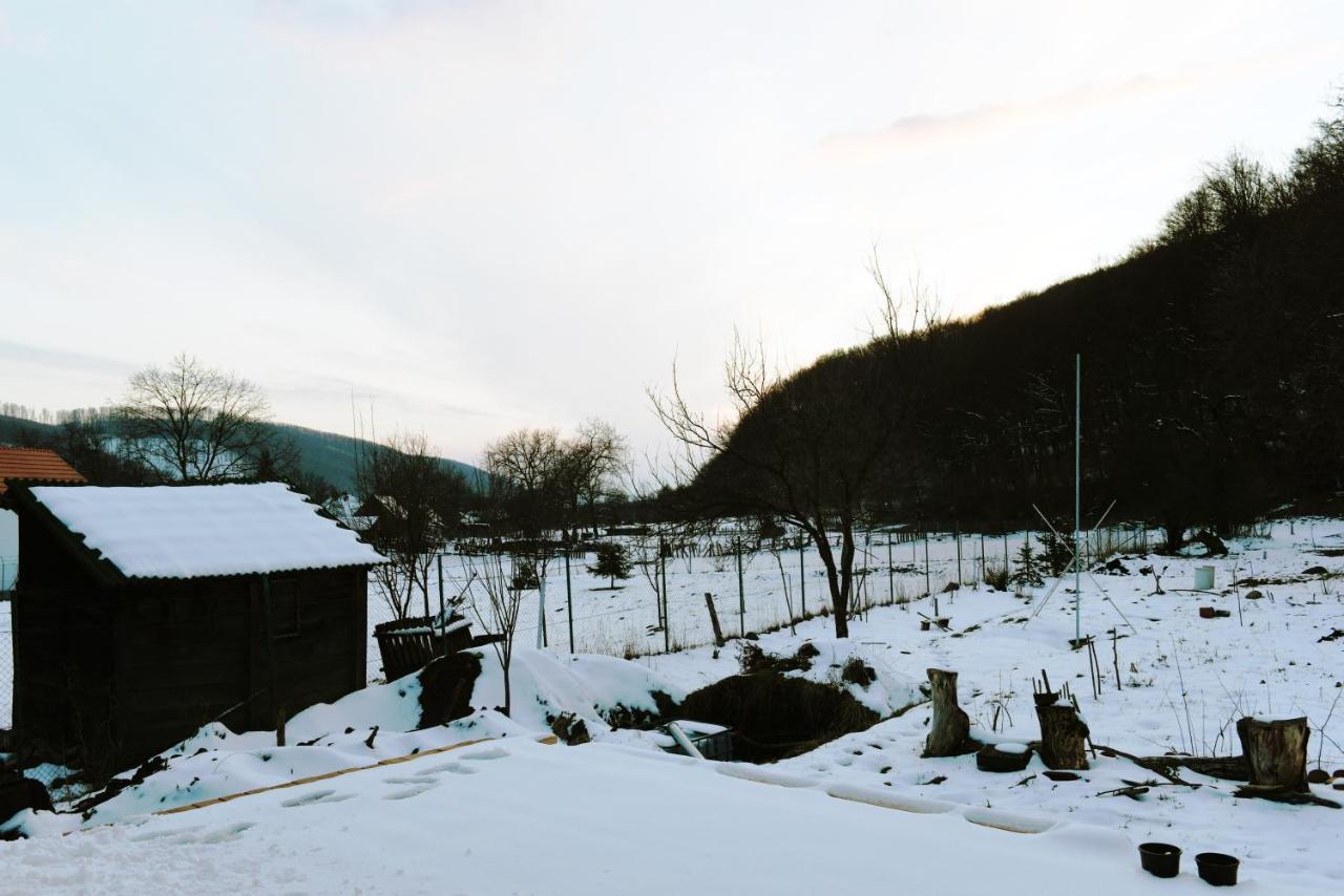 ASTER panzió Cimpu Cetatii Exterior foto