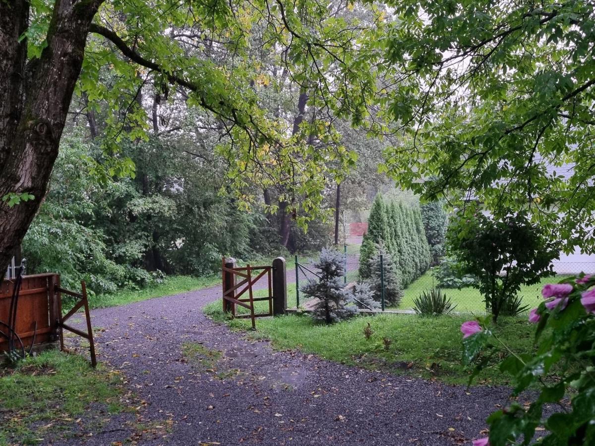 ASTER panzió Cimpu Cetatii Exterior foto