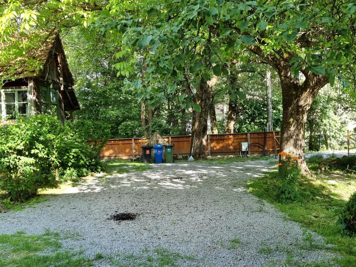 ASTER panzió Cimpu Cetatii Exterior foto