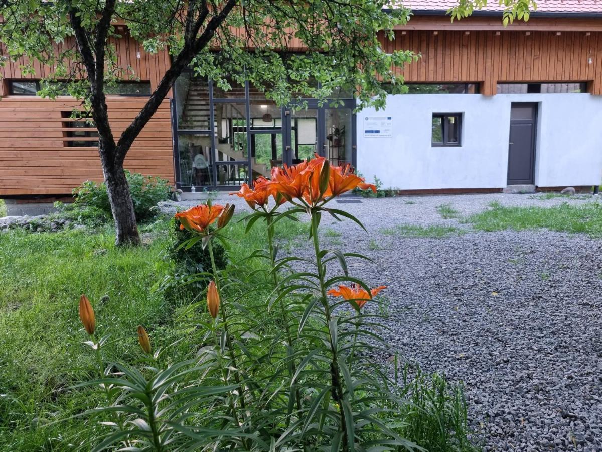 ASTER panzió Cimpu Cetatii Exterior foto