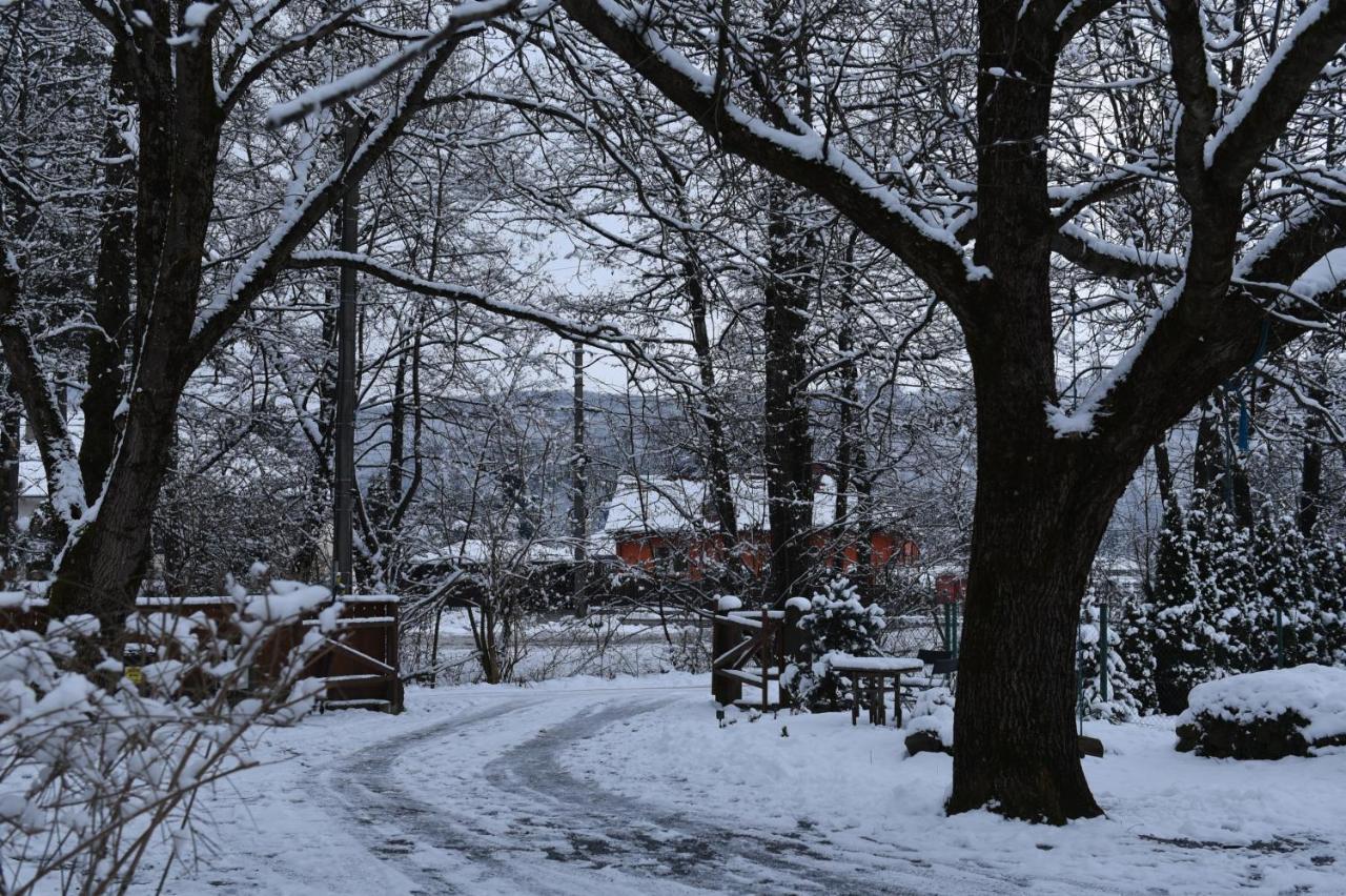 ASTER panzió Cimpu Cetatii Exterior foto