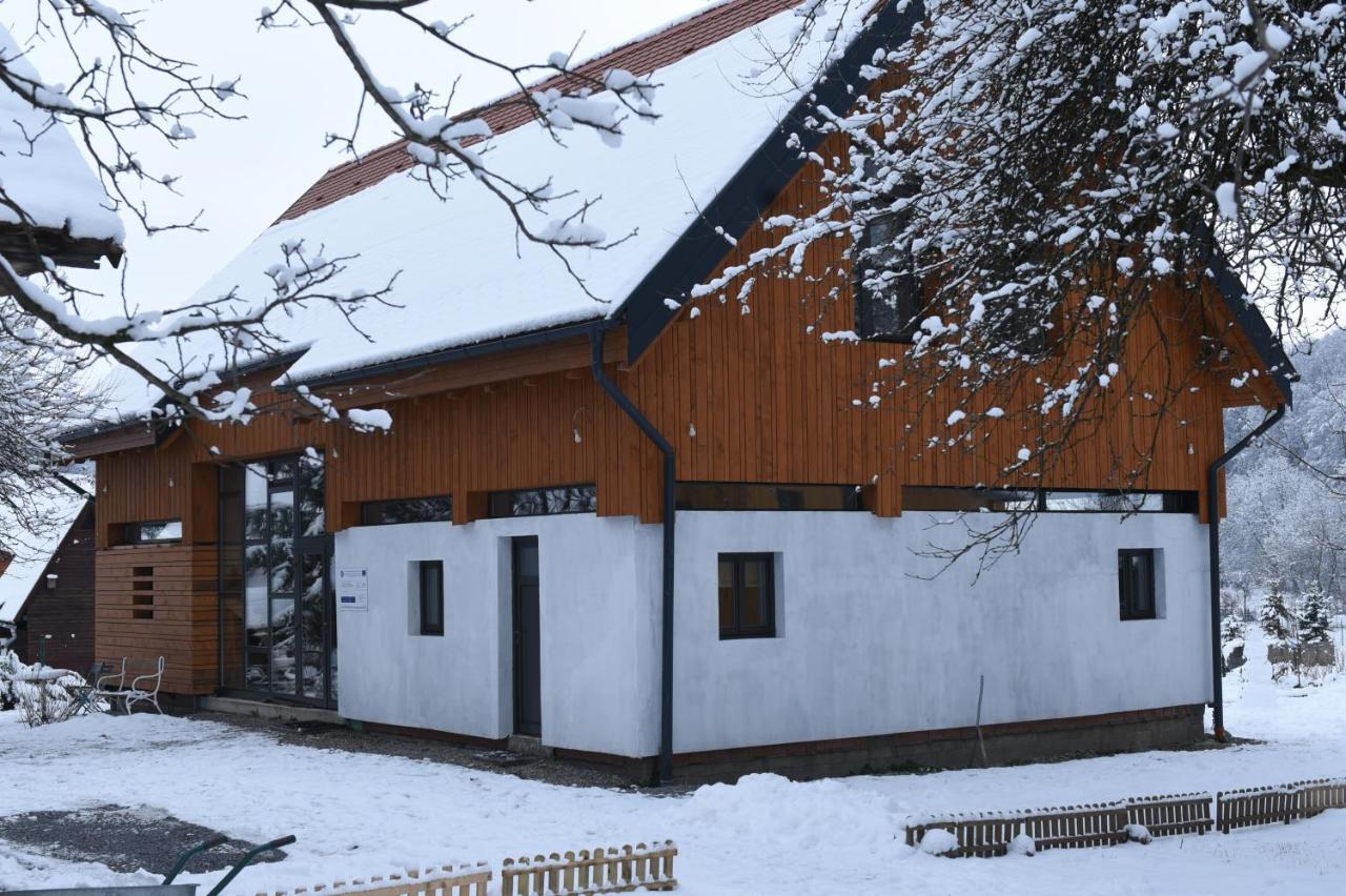 ASTER panzió Cimpu Cetatii Exterior foto