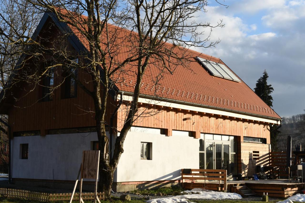 ASTER panzió Cimpu Cetatii Exterior foto